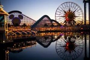 roller coaster 